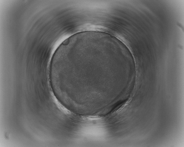 X0000101971152200808011125