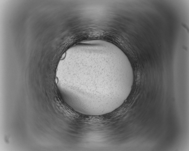 X0000101971153200808011124