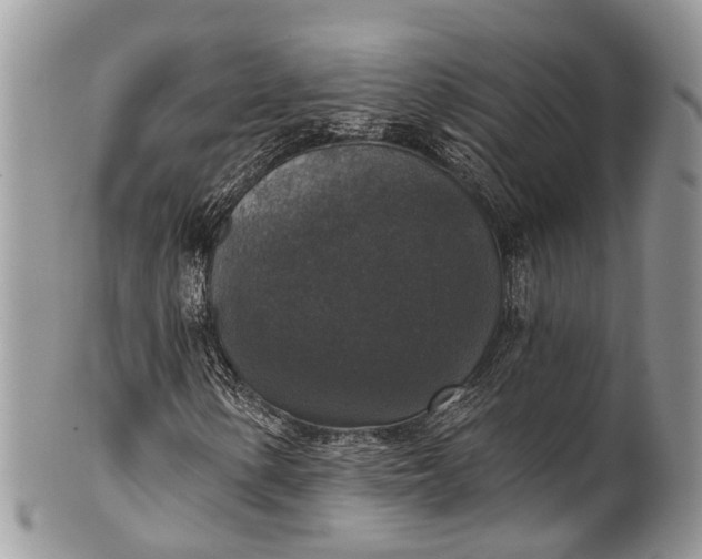 X0000101971154200808011124