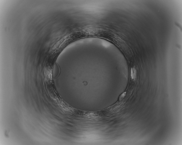 X0000101971155200808011124