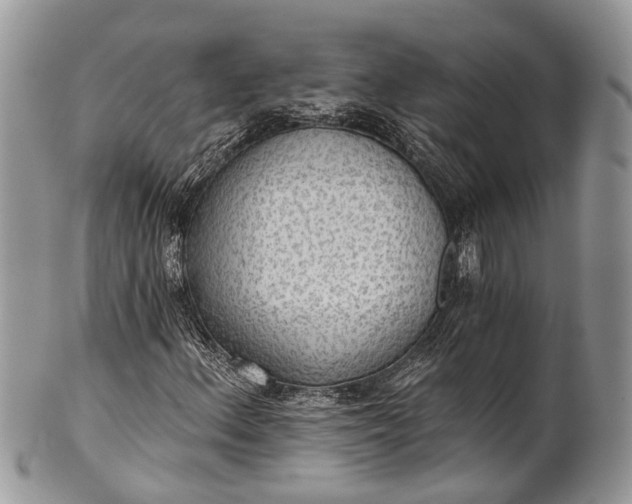 X0000101971156200808011124