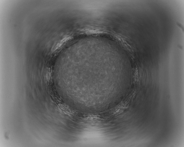 X0000101971157200808011124