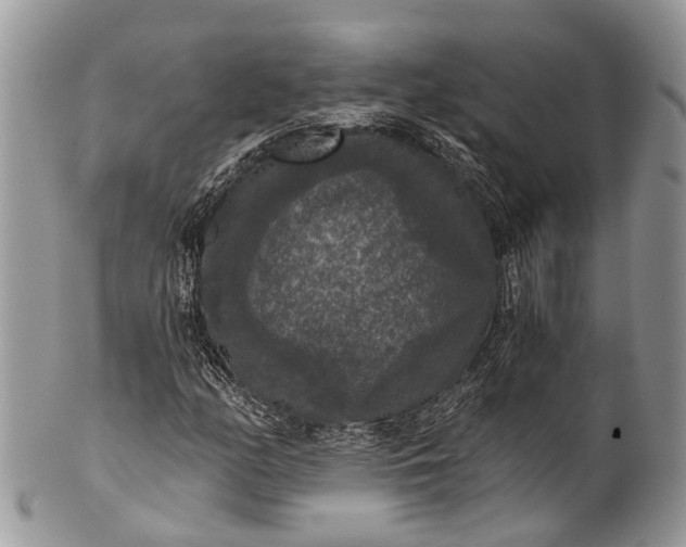 X0000101971158200808011124