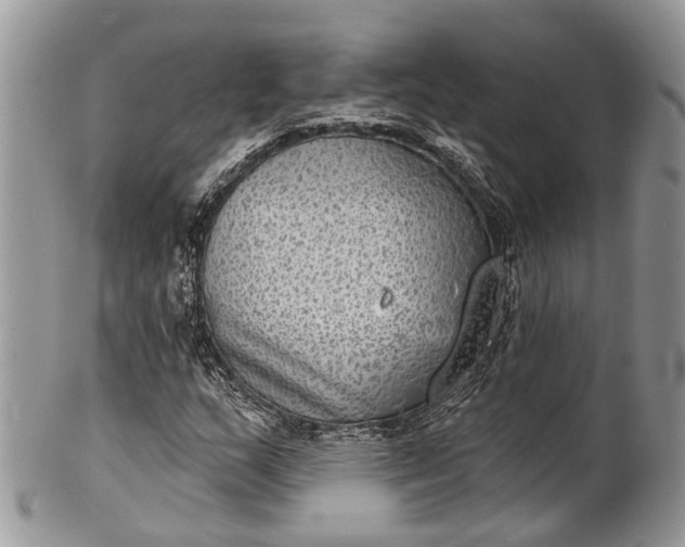 X0000101971159200808011124