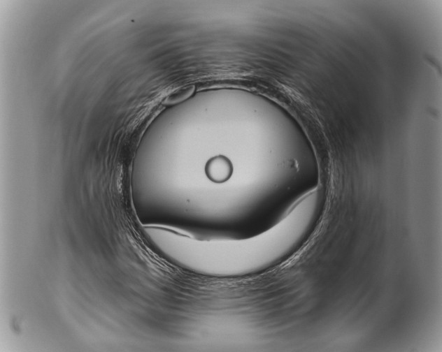X0000101971161200808011124