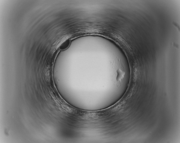 X0000101971162200808011124