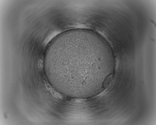 X0000101971163200808011124