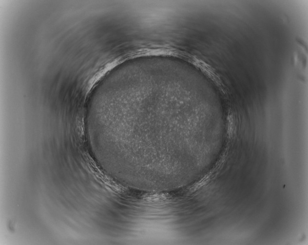 X0000101971165200808011124