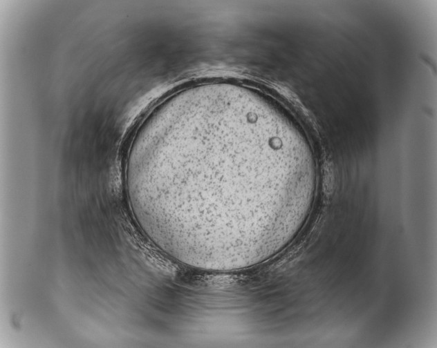 X0000101971167200808011124