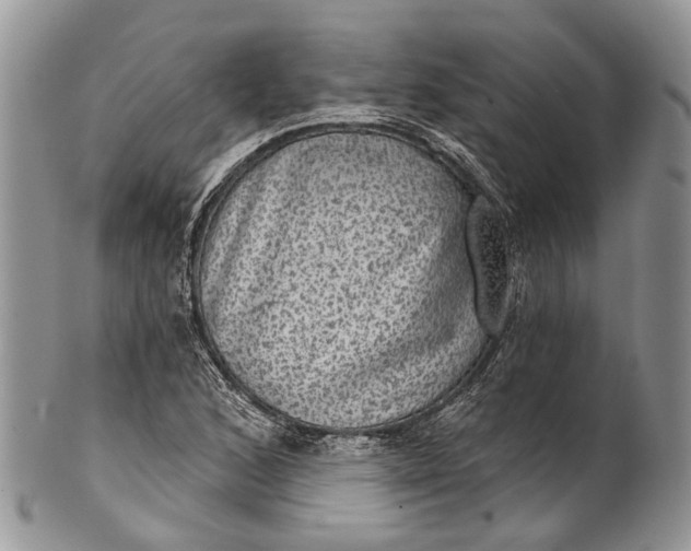 X0000101971168200808011124