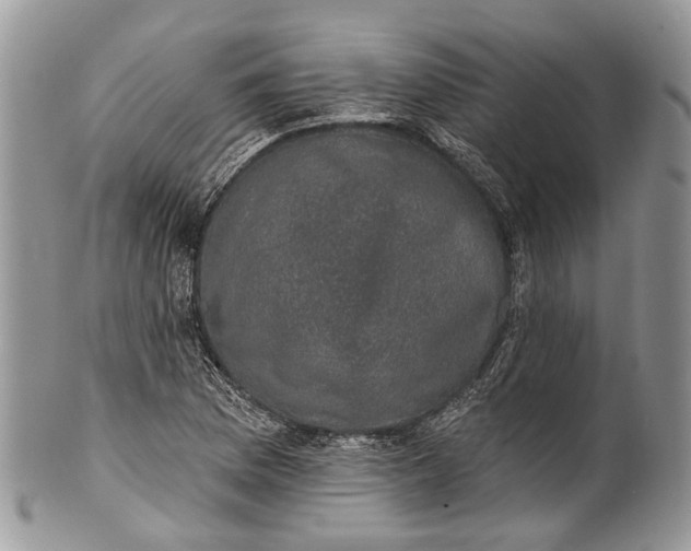 X0000101971169200808011124