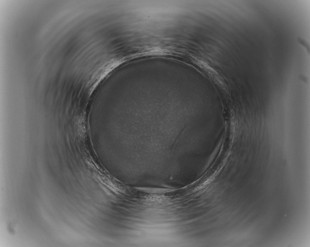X0000101971170200808011124