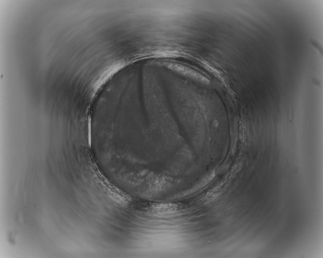 X0000101971171200808011124