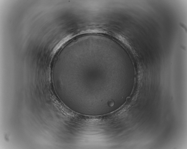 X0000101971173200808011124