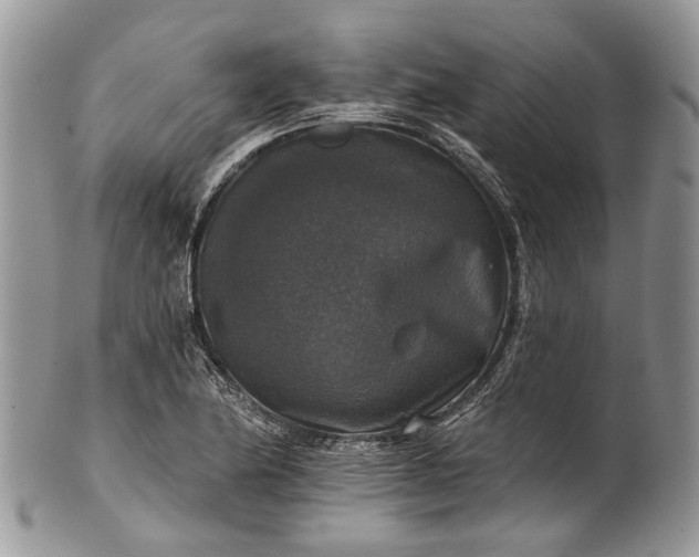 X0000101971174200808011124