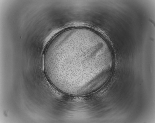 X0000101971175200808011124