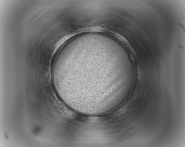 X0000101971176200808011124