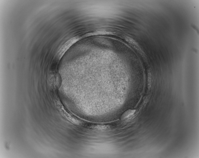 X0000101971177200808011124