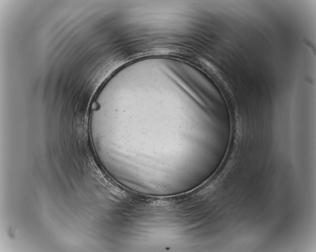 X0000101971178200808011124
