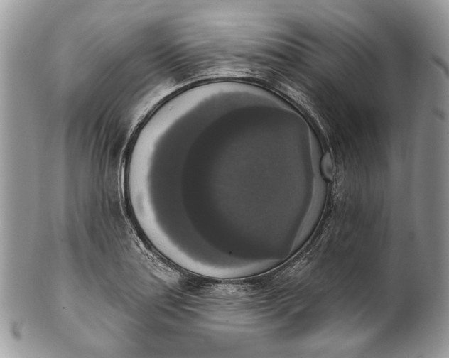 X0000101971179200808011124