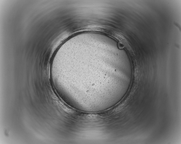 X0000101971180200808011124