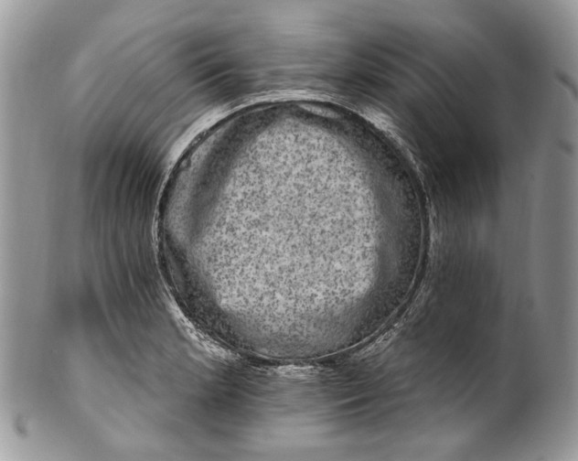 X0000101971181200808011124
