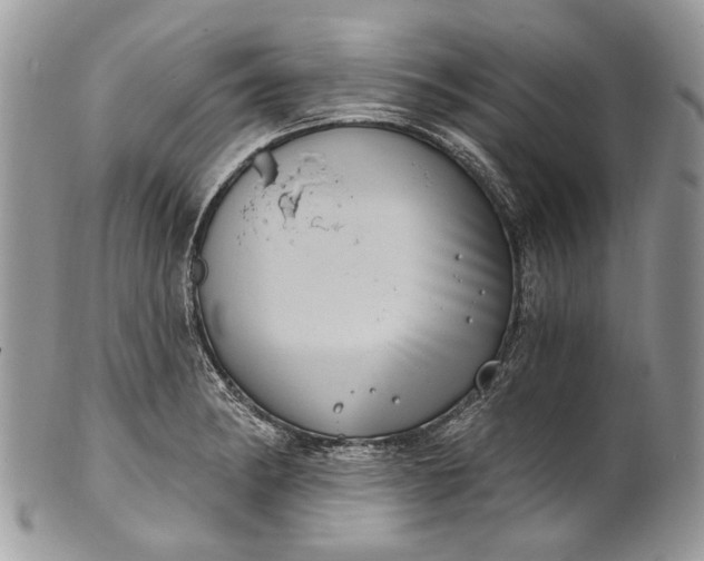 X0000101971182200808011124