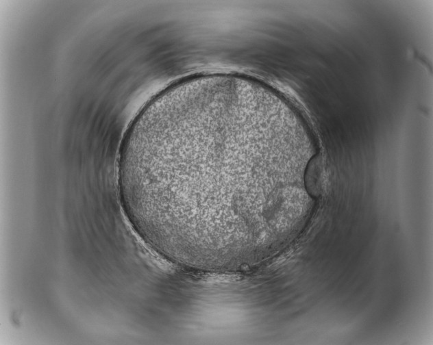 X0000101971183200808011124