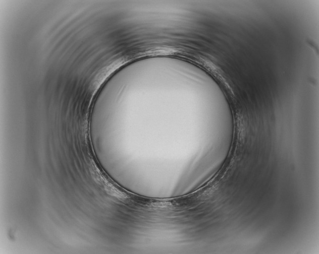 X0000101971186200808011124