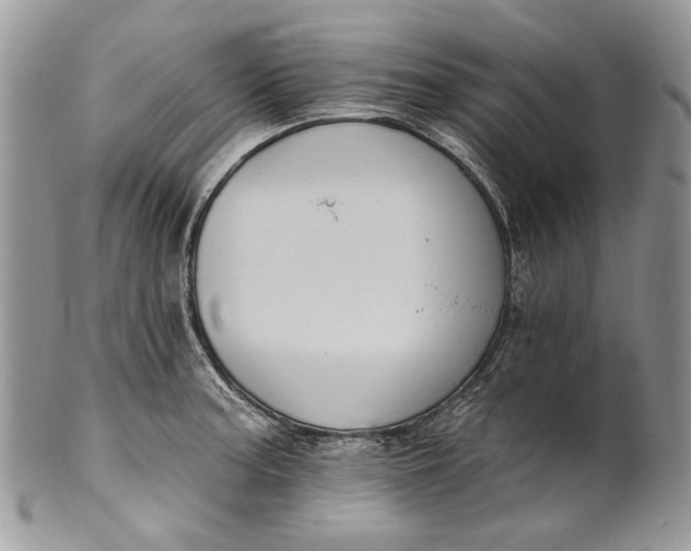 X0000101971187200808011124