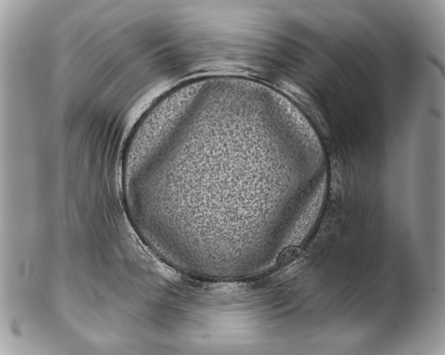 X0000101971188200808011124