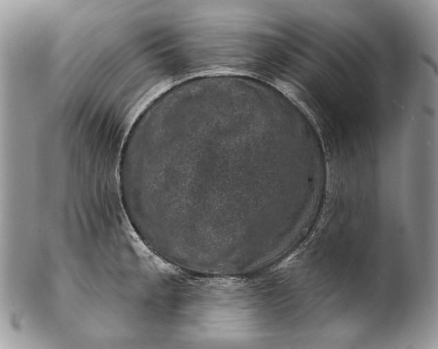 X0000101971189200808011124
