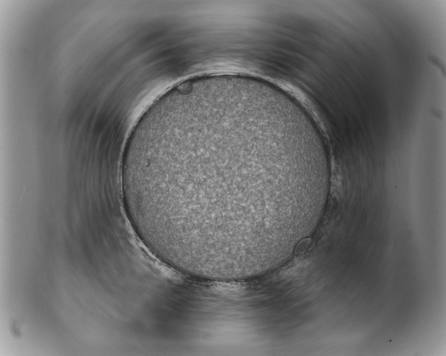 X0000101971191200808011124