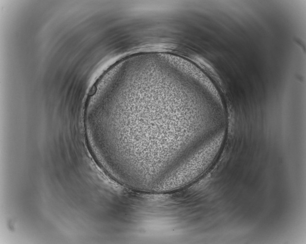 X0000101971192200808011124