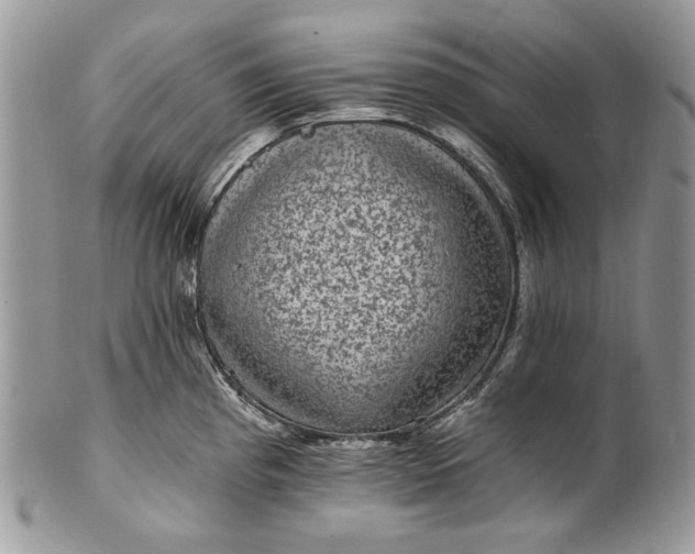 X0000101971193200808011124