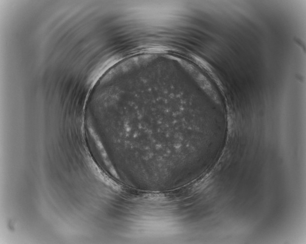 X0000101971194200808011123