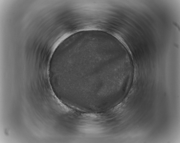 X0000101971197200808011123