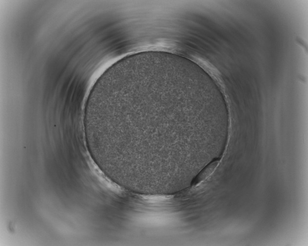 X0000101971200200808011123