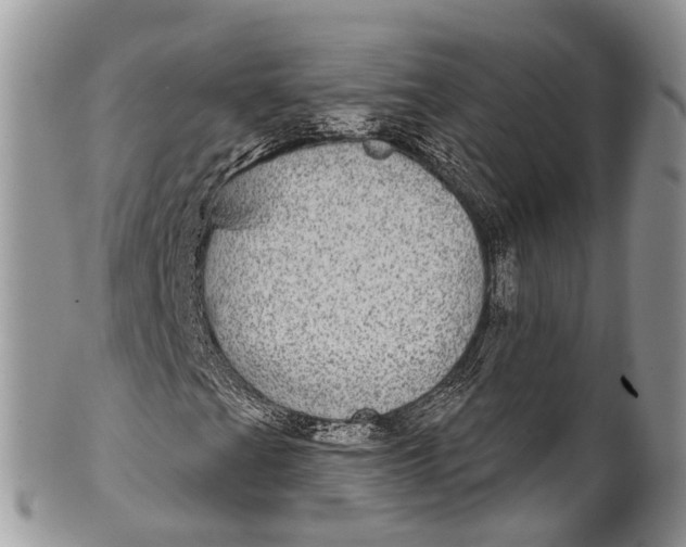 X0000101971201200808011123