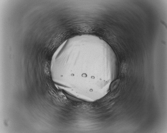 X0000101971202200808011123
