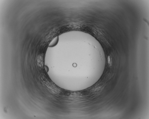 X0000101971203200808011123