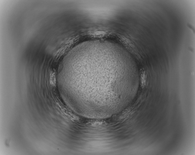 X0000101971204200808011123