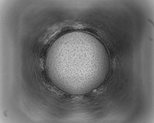 X0000101971205200808011123