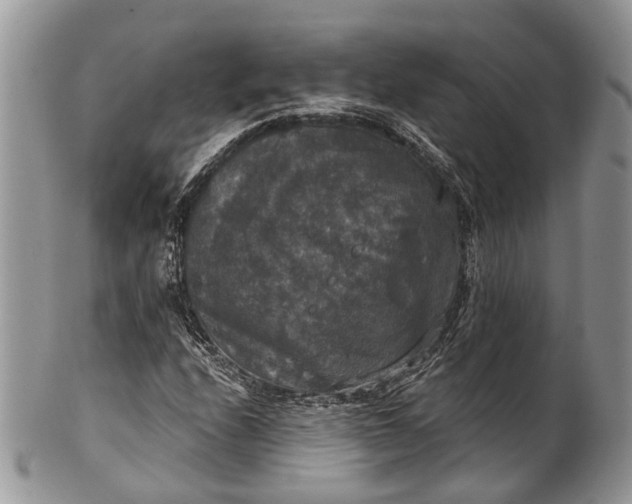 X0000101971208200808011123