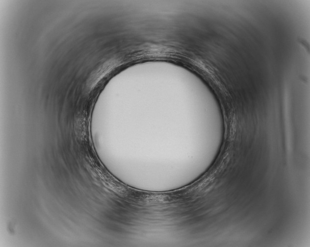 X0000101971211200808011123