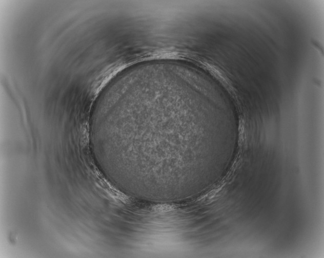 X0000101971212200808011123