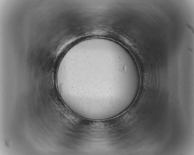 X0000101971214200808011123