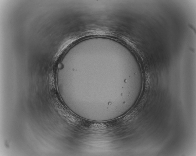 X0000101971215200808011123