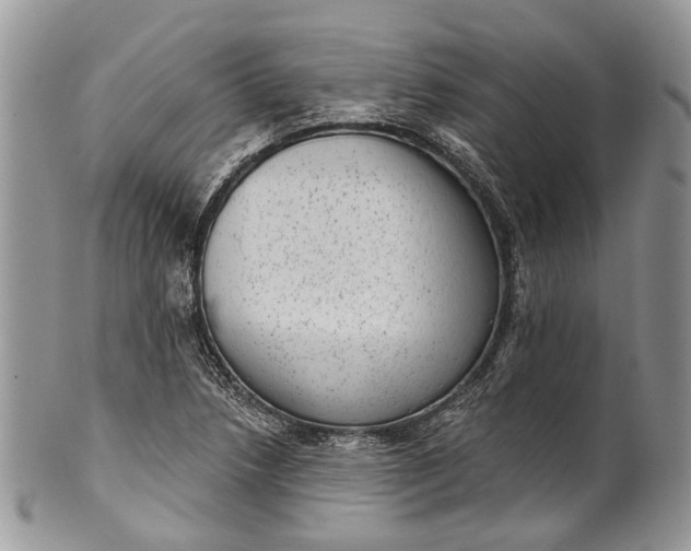 X0000101971218200808011123