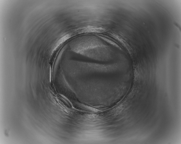 X0000101971219200808011123